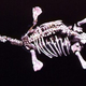 Image for article titled Eric the Pliosaur, one of the most interesting fossils on the planet